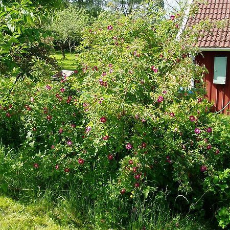 Langesaeter B&B Lerdala Exterior foto