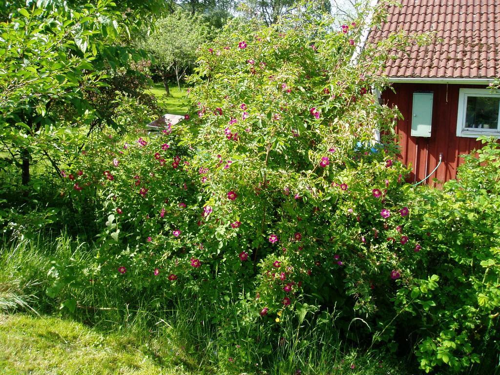 Langesaeter B&B Lerdala Exterior foto